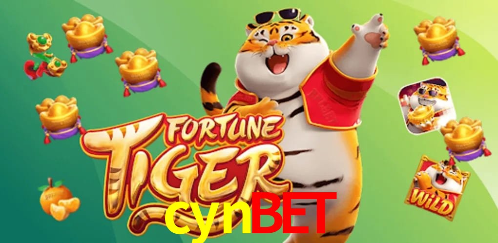 Experiência VIP cynbet
